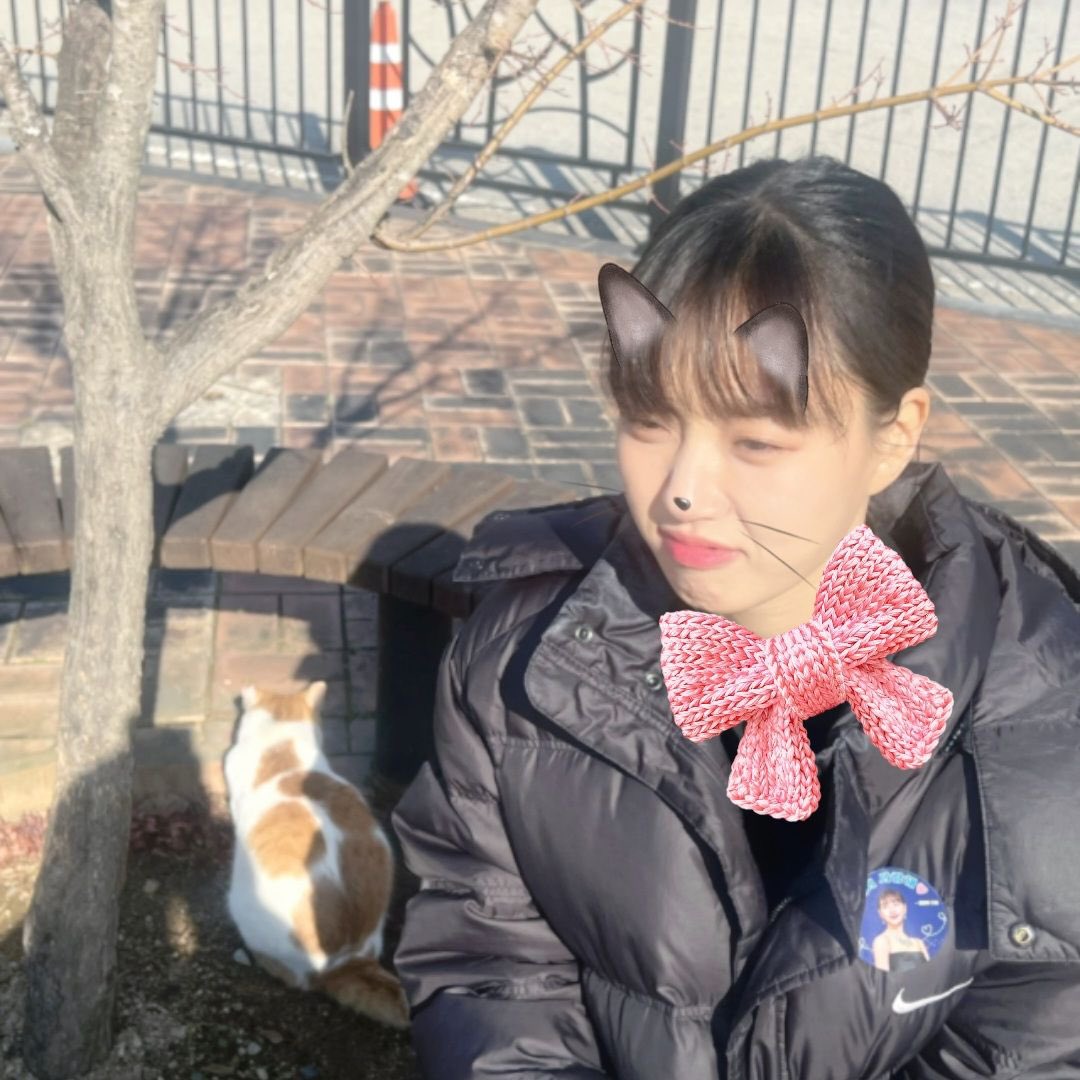ryiujine's tweet photo. starting the day with sunshine and a cute companion by my side. good morning, pipol! https://t.co/n7jjQPPoFT