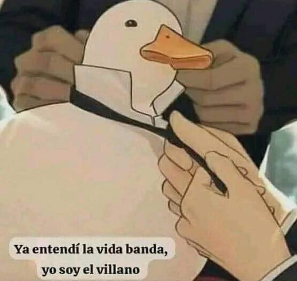 Bandidosfrasess's tweet photo. https://t.co/6IYaAWnfMz