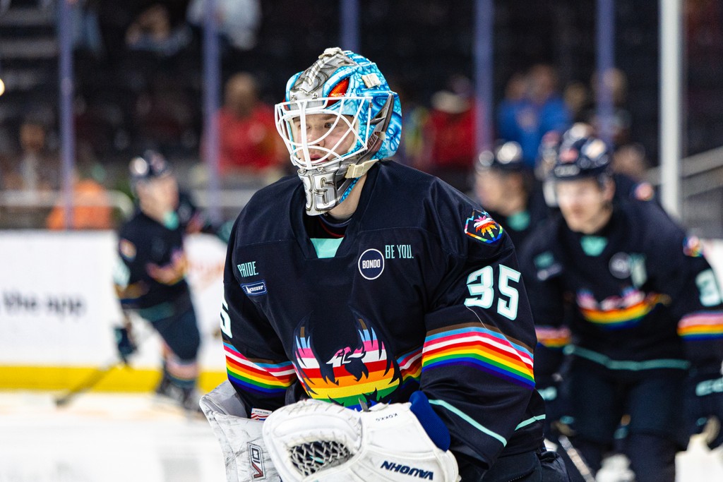 American Hockey League tweet media