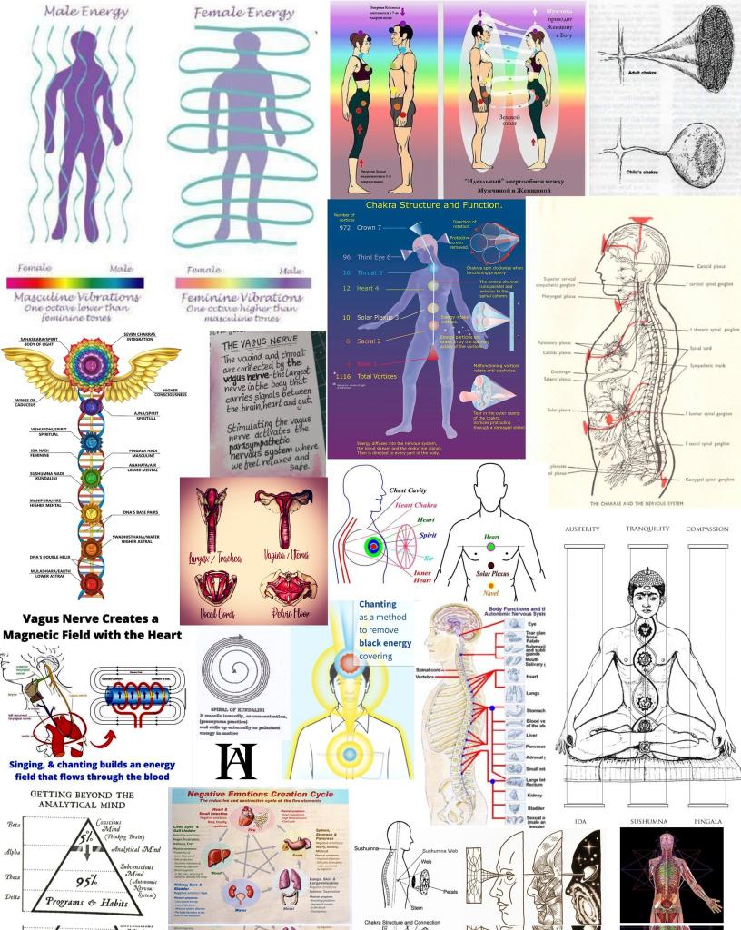 AmurakaHidden's tweet photo. "We live in a Culture of MIND CONTROL. One of the Dark Sides of Sexual Magick is it's use in Monarch Programming, better known as MK-Ultra.

In order to understand MIND CONTROL on a GLOBAL SCALE, it is important to understand it in singular cases: Mind Control is an ART, that has been studied for decades.

Monarch Programming is a method mind control used by numerous organizations ("The Network") for COVERT purposes. It is a continuation of Project Mk-Ultra, a Mind Control programed developed by the CIA, and tested on the Miltary and Civilians.

In Orwell's 1984, the protagonist Winston is subjected to different forms of BRAIN WASHING: imprisonment, isolation and torture with the GOAL of conforming and indoctrinating his thoughts and emotions to align with the wishes of the rulers of the fictional totalitarian society.

His Torturer, who represents the Authorities (or CONTROLLERS), says to Winston, "WE make the brain perfect before we blow it out... Everyone is washed CLEAN."

We discussed how the Inversion of the Sacred Spinal Fire and how Ritual Sodomy can be used as a form of Trauma Based Mind Control. It is often times the preferred method of Brainwashing to create a Mind Controlled SLAVE, specifically a Beta Sex Slave.

The GOAL is to DEHUMANIZE and DISASSOCIATE the Victim.

Fitz Springmeier explains that when the mind and emotions are put under extreme stress they "BREAK" and create a new mental-emotional state. It is within these mental states, born of trauma, that the mind can be conditioned; the mind "SPLITS" & ALTERS can be programmed. Obviously, the younger the victim, the easier it is for the Programmer to break and shape the Victim's mind.

An ALTER, in the context of Programmer and Victim, is defined as "a Disassociated Part of the Mind which has a completely separate identity and is given CUE CODES by the Mind-Control Programmer to trigger that disassociated part of the Mind to come to the front of the mind."

In Monarch Programming, the person is SO dehumanized that some alters think they are literal animals: dogs, cows, ect. A Sexual Alter is often programmed to think of themselves as a CAT or BUTTERFLY. The Alter can be programmed to identify as a Different Person or, even, a DEMON.

The BUTTERFLY is often associated with MK-ULTRA MONARCH PROGRAMMING because of the MONARACH BUTTERFLY.

Fitz explains, "The Monarch BUTTERFLY learns where it was born (its roots) and passes this knowledge via genetics on to its offspring from Generation to Generation. If Knowledge can be passed on Genetically (WHICH IT IS), then it is important that parents can be found that can pass the CORRECT knowledge onto those victims selected for Monarch Programming."

The Primary Factor is the ABILITY to DISASSOCIATE and this "Ability" is passed GENETICALLY. The easier it is for the Programmer to get the Victim into these Disassociative States or TRANCES, the better the candidate for Programming."

An Excerpt from my NEW book, "The Cup of Hermes: A Beginner's Guide to Sexual Alchemy".

For the next 48 hours, get 36 Percent OFF with Promo Code "PEPEMEME".

The FINAL 36 PERCENT OFF SALE!

Link in Bio.