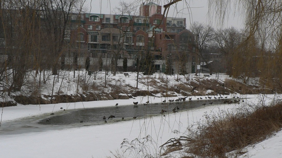 As temperatures drop, remember these important tips from <a href="/TRCA_Flood/">TRCA Flood</a> to keep yourself and your loved ones safe around water this season:
🚨 If you are in danger, call 911. To report an #IceJam, call TRCA at (416) 661-6514
🧊 Avoid activities on frozen rivers, ponds, dams, and
