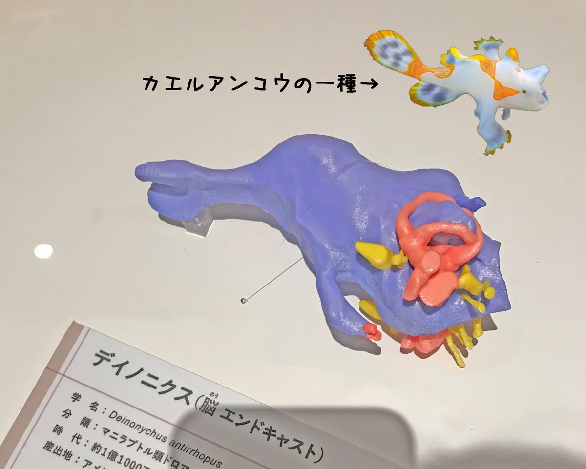 E5%88%86%E9%A1%9E%E5%A4%89%E6%9B%B4