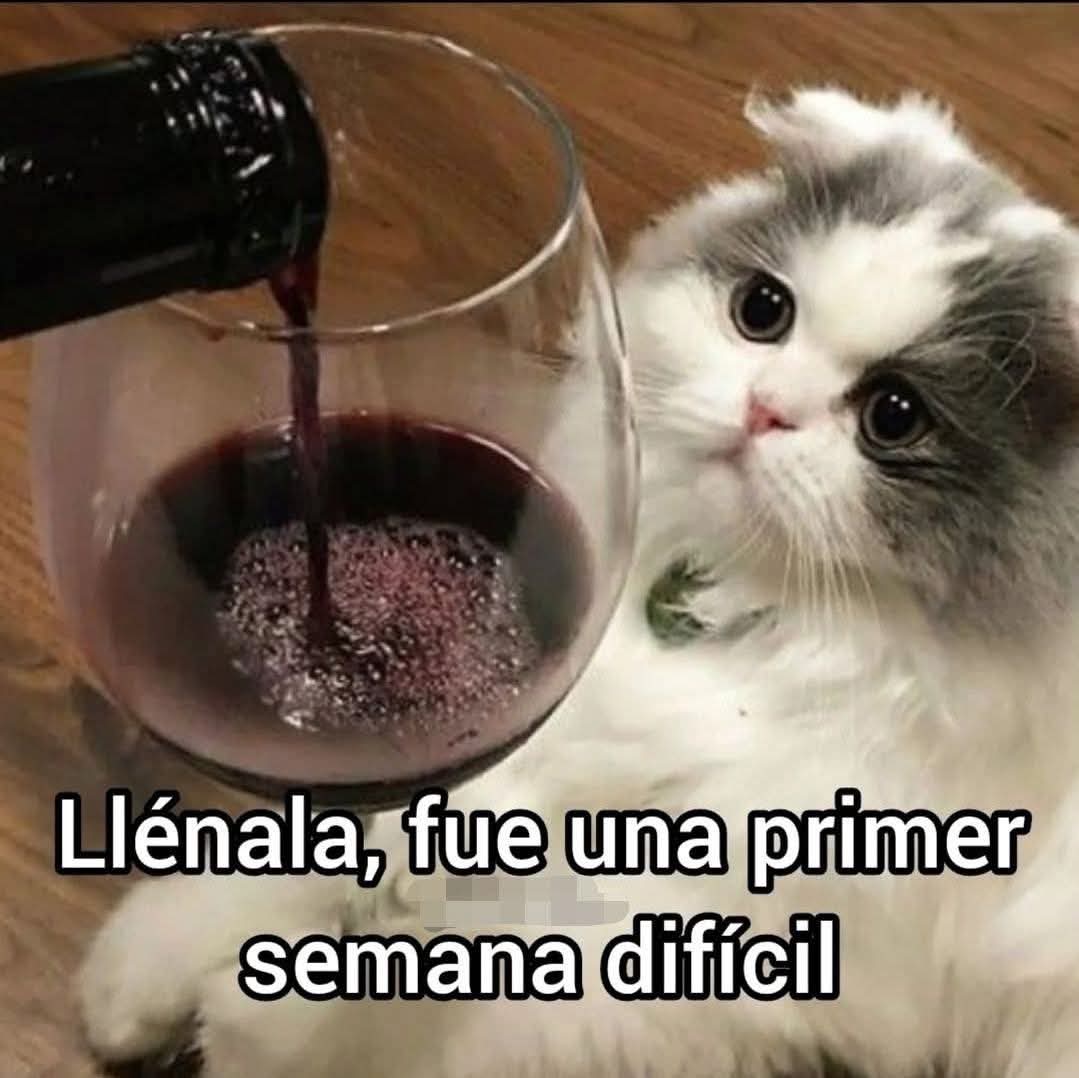 🍷