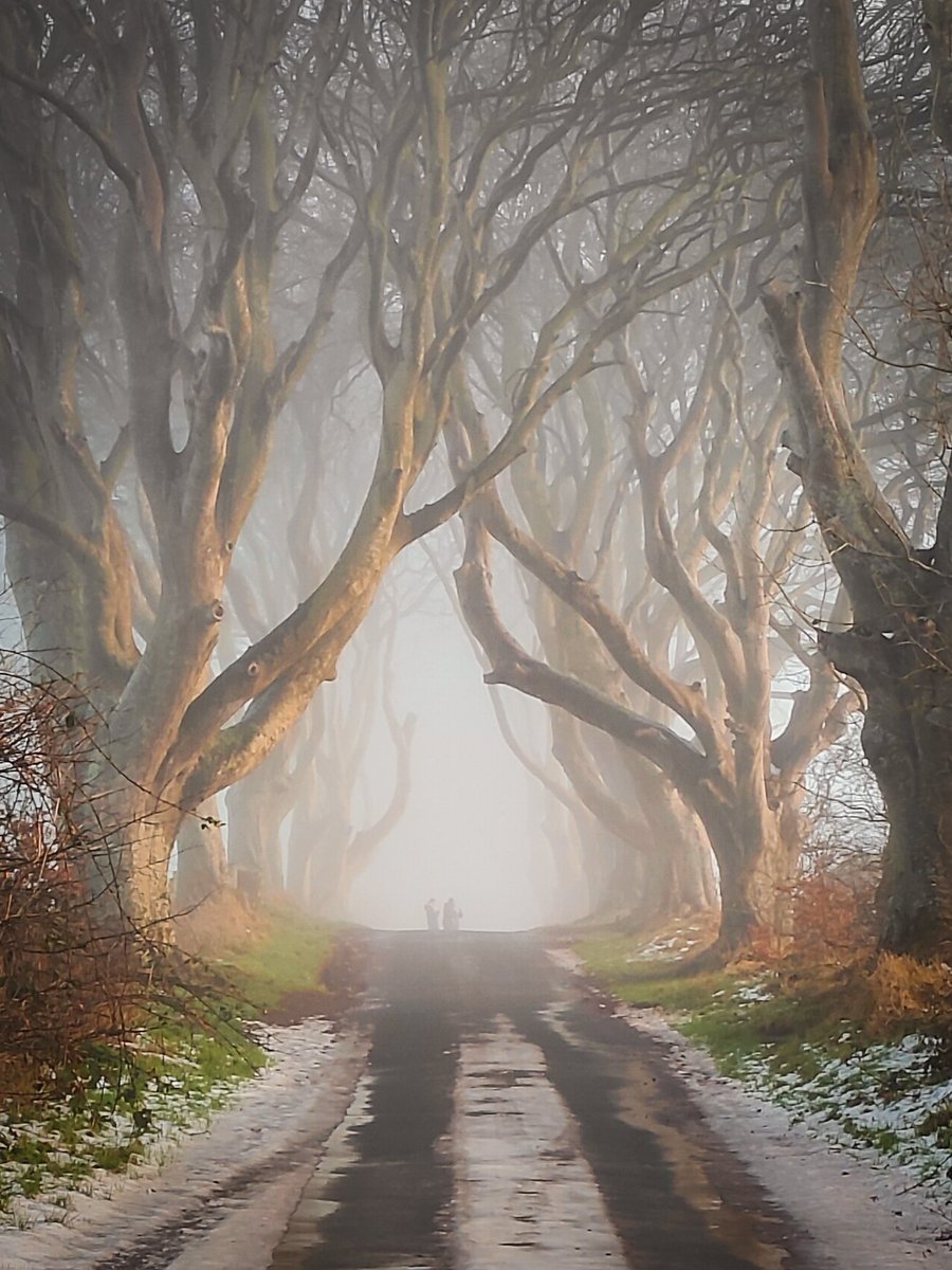 Half-expecting to find a portal to another world at the end of this road. 🌌✨ 
 
#DarkHedges