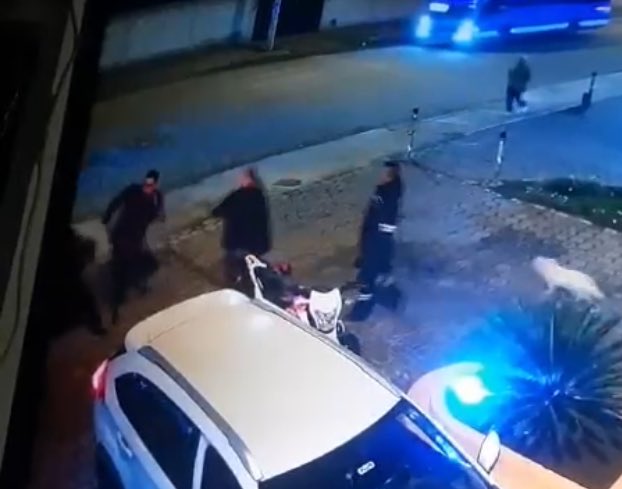 IdoloPasionWeb tweet media