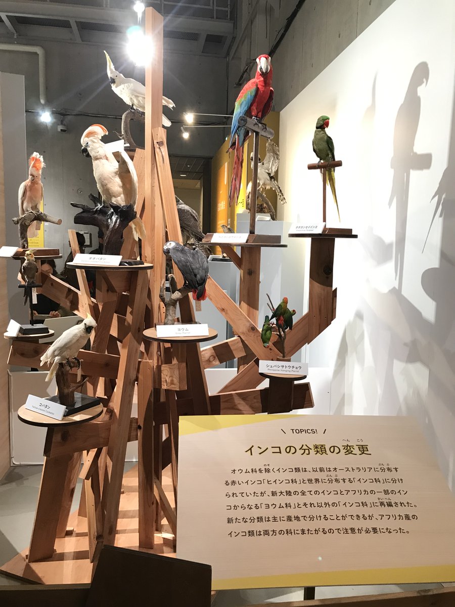 E5%88%86%E9%A1%9E%E5%A4%89%E6%9B%B4