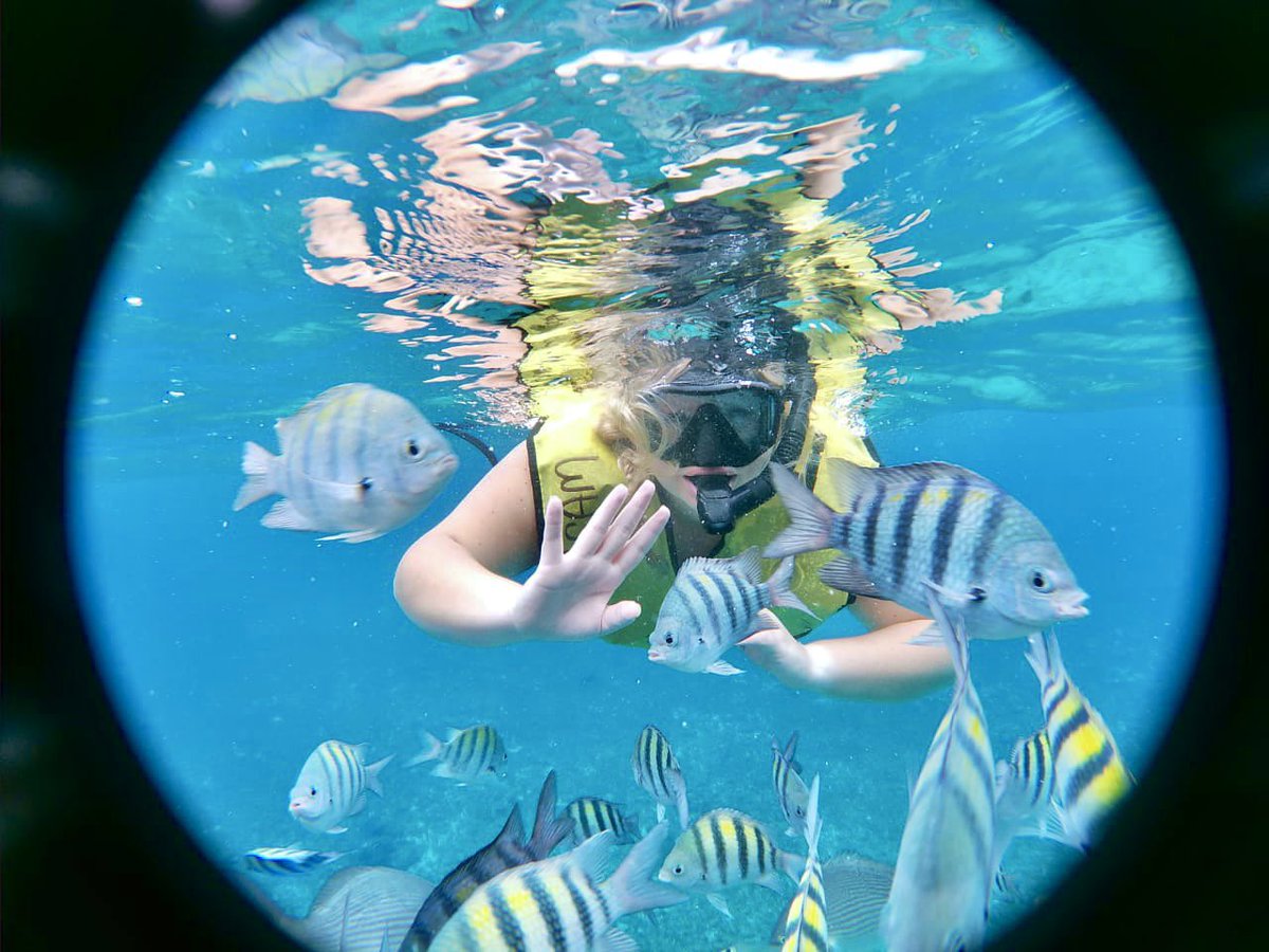 Dallas Remington™ (@dallasremington) on Twitter photo started the year off with a girls trip with my momma🤍
Grand Cayman & Cozumel🌴 thank you, <a href="/CarnivalCruise/">Carnival Cruise Line</a> Paradise💕 started the year off with a girls trip with my momma🤍
Grand Cayman & Cozumel🌴 thank you, <a href="/CarnivalCruise/">Carnival Cruise Line</a> Paradise💕
