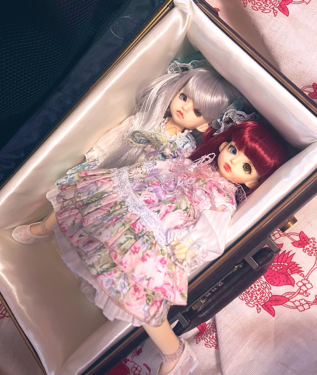 laice1092's tweet photo. 箱から溢れ出るタイプの美少女 https://t.co/8fu4fRZlf9