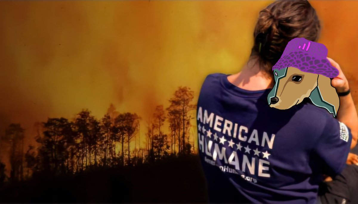 dog wif help. 

my frens in California are at grave risk. 

together, we can make a difference. 

100% of our rewards for the next 24H will be donated to supply food, water, and essential supplies for animals caught in the fire's path.

americanhumane.org