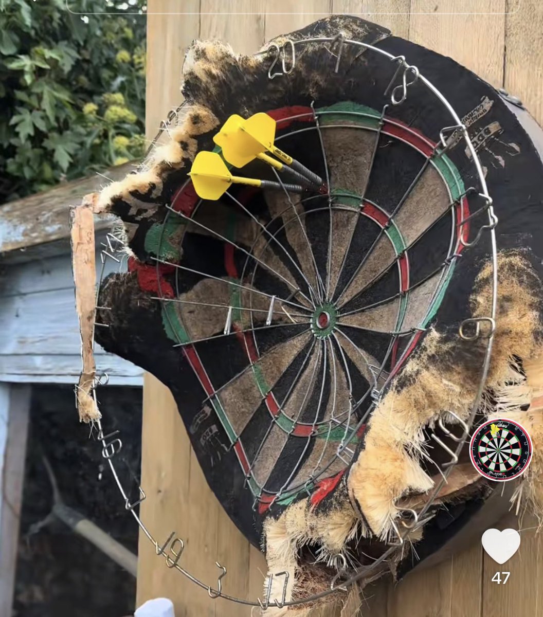 Samuel Green tweet media