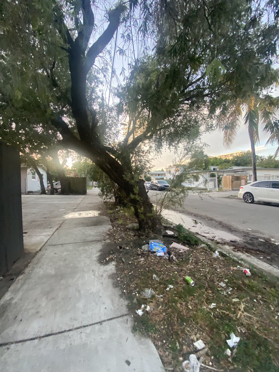 This is the place I live at, let’s protect it.  Miami is under attack by big development and it’s not sustainable and we must stand up in our own way. 

<a href="/miguelgabela/">Commissioner Miguel Angel Gabela</a> please WithDraw 🌳. Work with real community leaders and residents to find solutions. 🌳