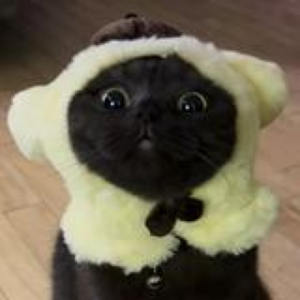 Look how cute it is 🥯