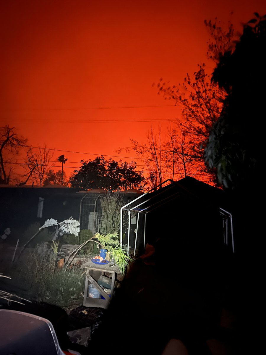 sky rizzy tweet media