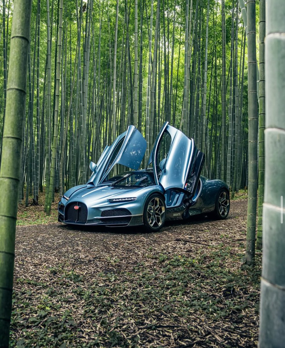 CarDealCanada's tweet photo. Power parked among peace 🎋

📸 | alexpenfold https://t.co/d5WkOBga3j