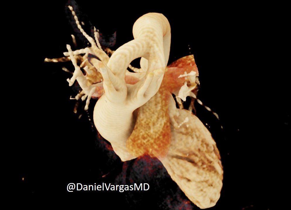 Daniel Vargas, MD tweet media