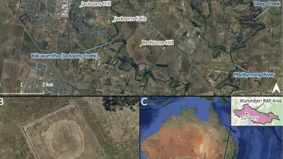 The Australia Today (@theaustoday) on Twitter photo New excavation of ‘rings of mystery’ in Victoria reveals rich Aboriginal history, explain <a href="/carolinedigs/">Caroline Spry</a>, Allan Wandin, Bobby Mullins, and Ron Jones <a href="/IndigenousKM/">Indigenous Knowledge</a>
Read here: theaustraliatoday.com.au/new-excavation…
<a href="/DrAmitSarwal/">Dr Amit Sarwal 🇮🇳 🇦🇺</a> <a href="/Pallavi_Aus/">Pallavi Jain</a> <a href="/rishi_suri/">Rishi Suri</a> <a href="/SarahLGates1/">𑆩𑆳𑆬𑆴𑆤𑆵 Sarah L Gates</a> <a href="/ShailendraBSing/">Dr Shailendra B Singh</a> New excavation of ‘rings of mystery’ in Victoria reveals rich Aboriginal history, explain <a href="/carolinedigs/">Caroline Spry</a>, Allan Wandin, Bobby Mullins, and Ron Jones <a href="/IndigenousKM/">Indigenous Knowledge</a>
Read here: theaustraliatoday.com.au/new-excavation…
<a href="/DrAmitSarwal/">Dr Amit Sarwal 🇮🇳 🇦🇺</a> <a href="/Pallavi_Aus/">Pallavi Jain</a> <a href="/rishi_suri/">Rishi Suri</a> <a href="/SarahLGates1/">𑆩𑆳𑆬𑆴𑆤𑆵 Sarah L Gates</a> <a href="/ShailendraBSing/">Dr Shailendra B Singh</a>