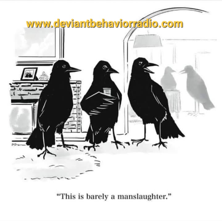 Deviantbradio's tweet image. #amurderofcrows deviantbehaviorradio.com #TheInternetsMixtape #DeviantBehaviorRadio