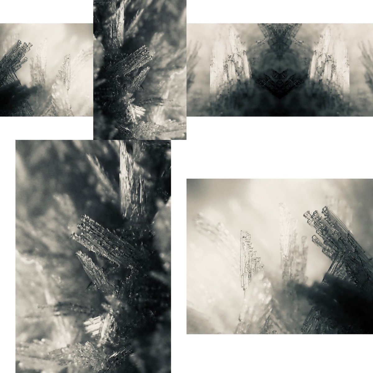 Fiona_Konca's tweet photo. Ice formation appreciation pt 2
.
.
.
.
.
#Abstract #Abstractphotography #Closeup #Closeupphotography #Frost #Ice #Icecrystals #Macro #Macrophotography #Otherworldly #Surreal #Winter https://t.co/zeshS0Hp3C