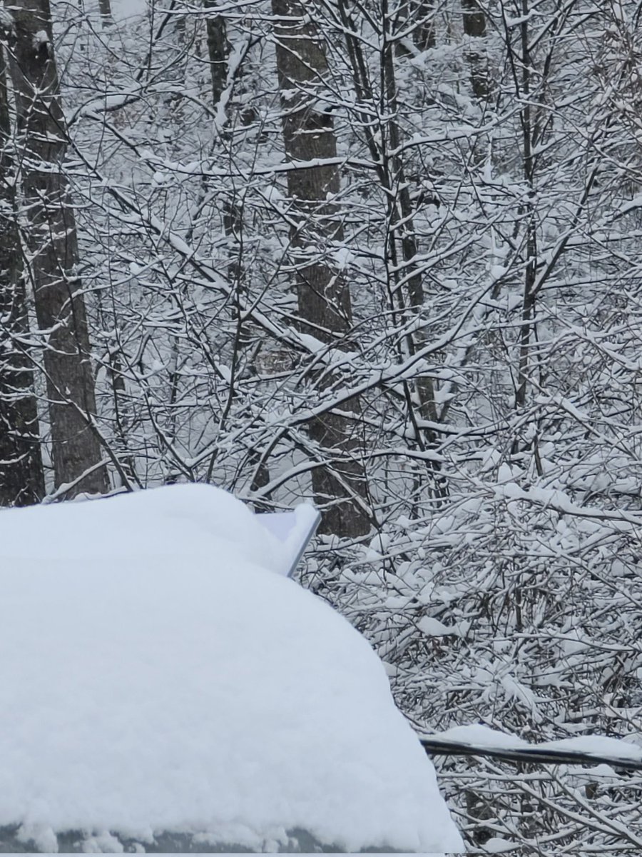 AdamPowellWV's tweet photo. @elonmusk @Starlink We live out in BFE, WV and this thing has survived the snowpocolypse without skipping a beat!  Thank you soo much for the service and an alternative to the crap landline we had to deal with previously!! https://t.co/NieSFP2sJA