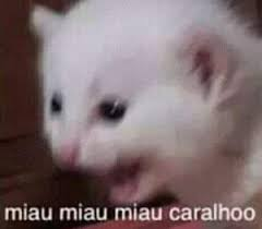 Ficamos em 9º de novo, aparentemente é nosso ÁPICE BATER NA TRAVE!!!! kkkkk Temos mais uma aposentadoria no time (talvez duas) e nosso prefeito ainda está avaliando sobre a continuidade da equipe, PORÉM, obrigado a todos!!!

#PokemonUNITE #GOCU