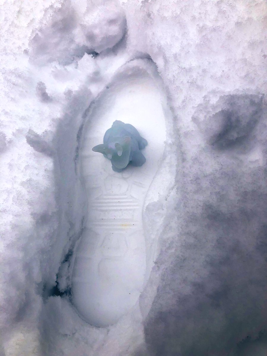 riotsquish's tweet photo. what could’ve made this massive footprint? 🧐 detective jackalope will be able to tell us i’m sure https://t.co/prmiyNPanG