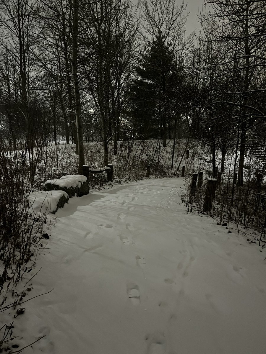 Corktown Common tweet media