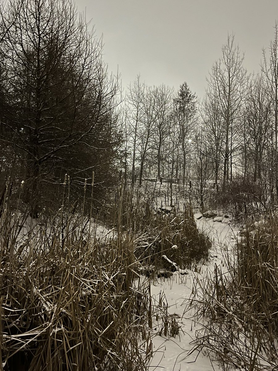 Corktown Common tweet media