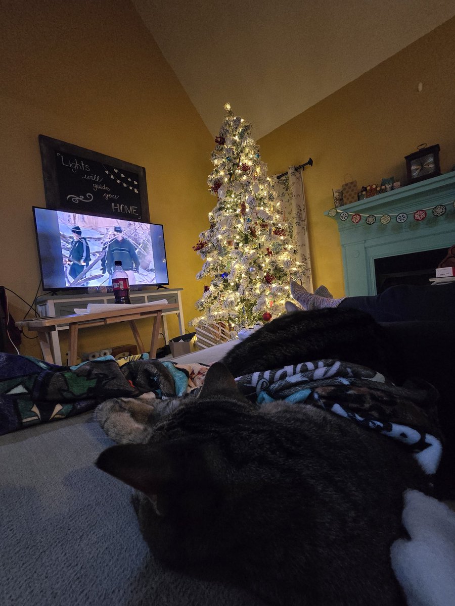 janellemusick's tweet photo. I'm glad I left my tree up for a few more days now. Snow days are the best! https://t.co/Ucvs94IMHo