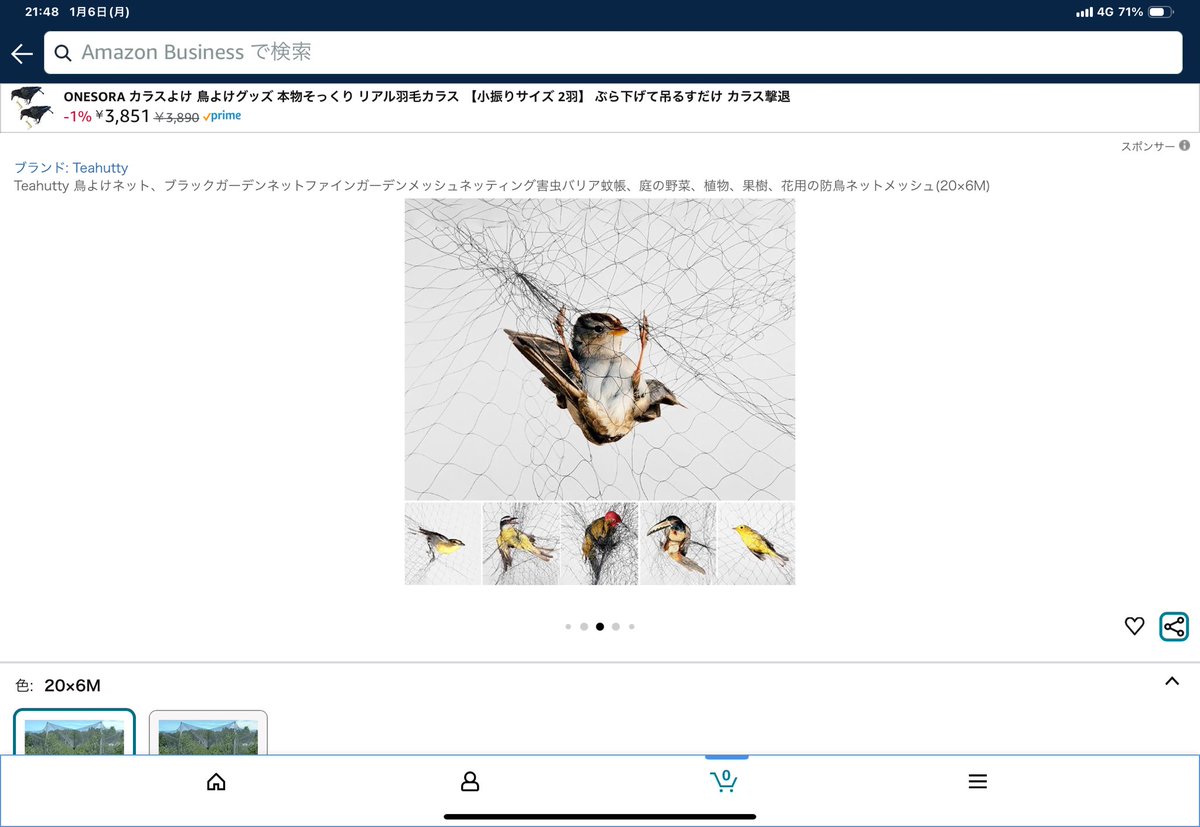 AMAZONって本当に無法地帯です。 酷いです。
注意⚠️「かすみ網」

これは日本では鳥獣保護管理法で所持、販売、使用、製造、輸入が原則禁止。
もちろん「かすみ網」を使って野鳥を捕獲することも違法。
購入して所持したら即アウトです。
販売者は軒並み中国企業で物も中国から発送されています。