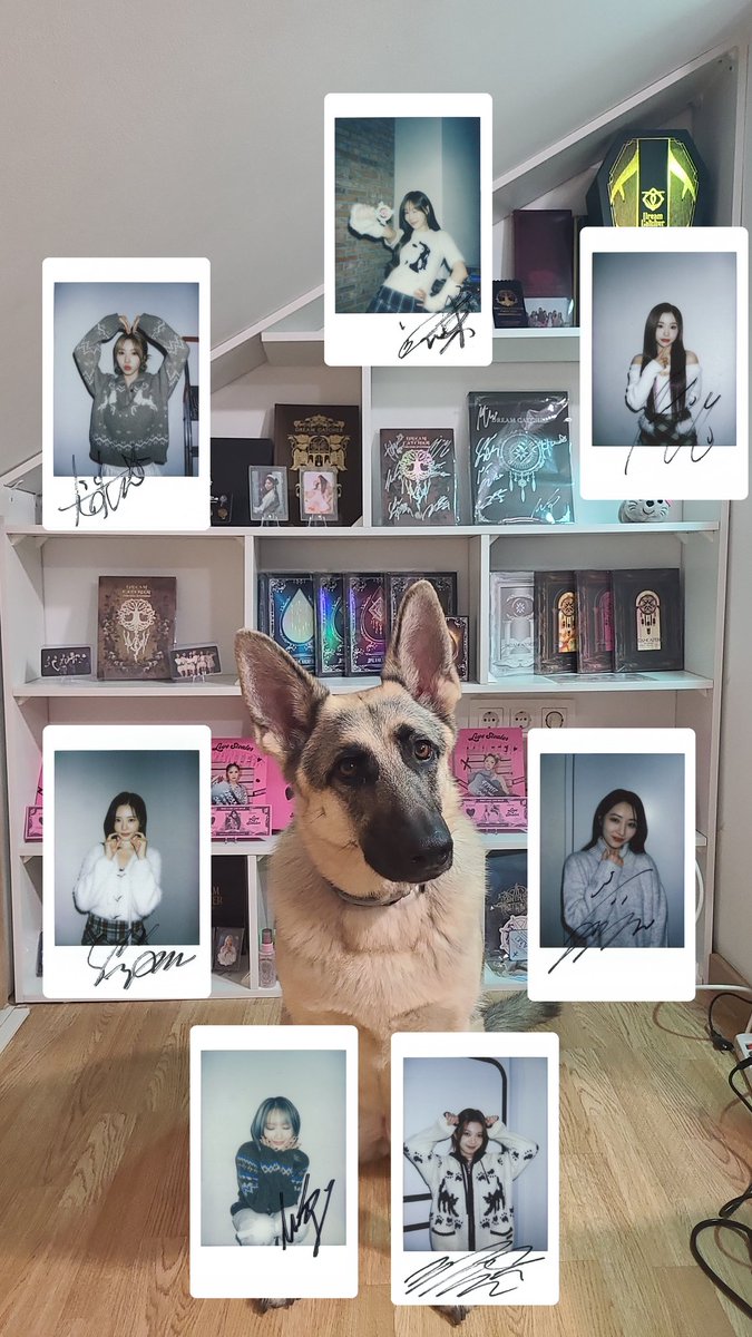 Hello! My attempt at this :)
Let's go dreamcatcher! For another year together 🫶🏻

#POCAALBUM_FAVESHOT_with_Dreamcatcher #인썸니아와_함께_꿈같은_밤