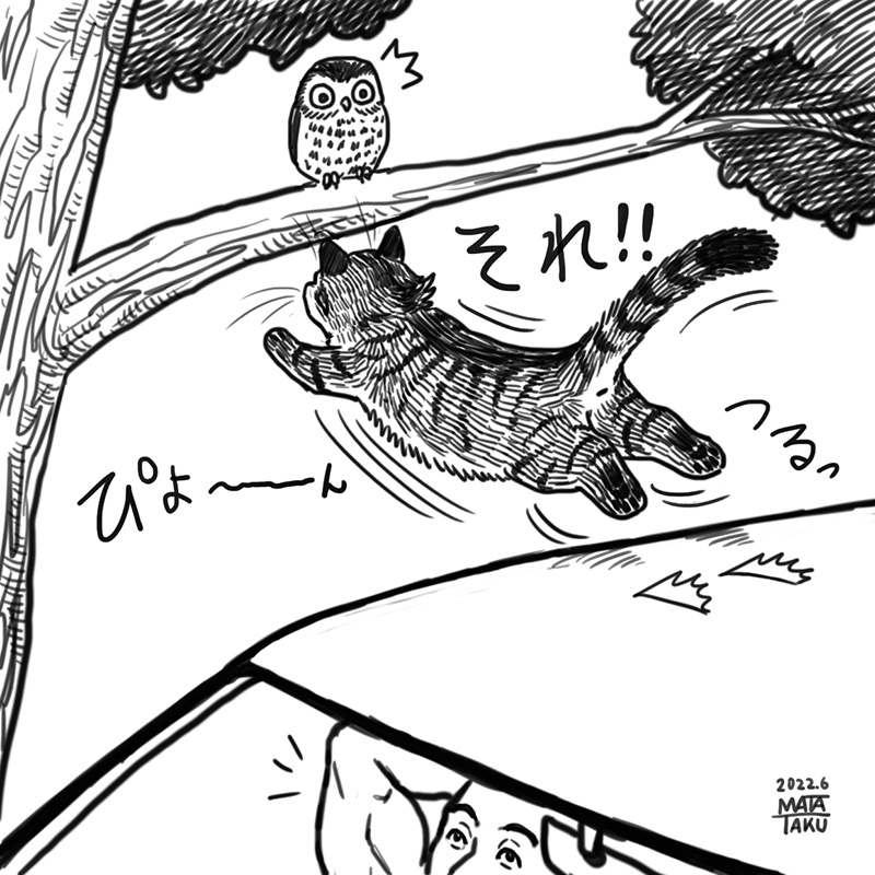 猫フク 足元注意 をpixivに投稿しました😄🐱🦉

https://t.co/ChN2eLkbi0 