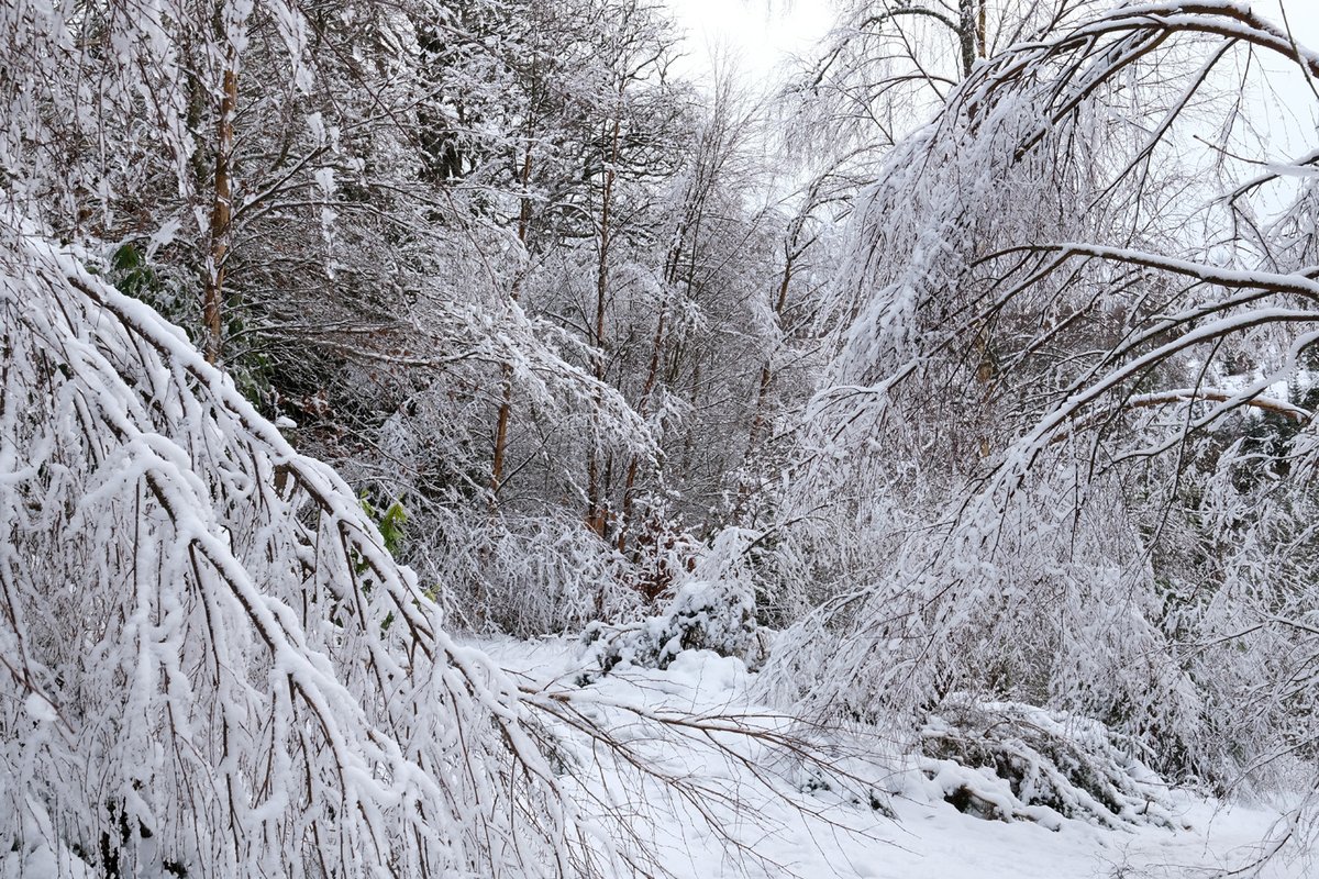 winter is here