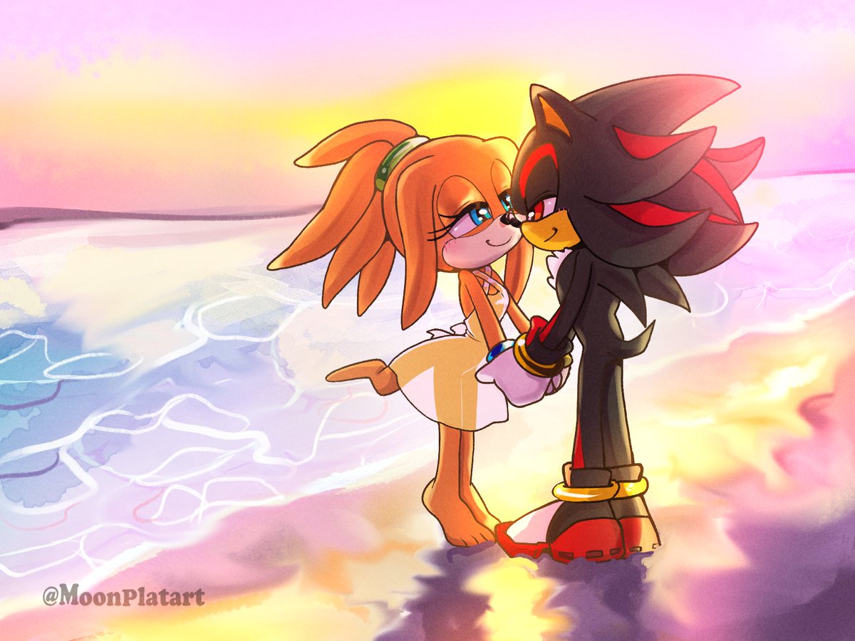 Shadikal commission for <a href="/Superandy64Com/">🌺SuperAndy64</a> A romantic scene at the beach with your true love❤️ Tikal is using the dress from ´´Sunflower´´.Thank you so much for support me Andy🧡🖤 #ShadowTheHedgehog #tikaltheechidna #shadikal