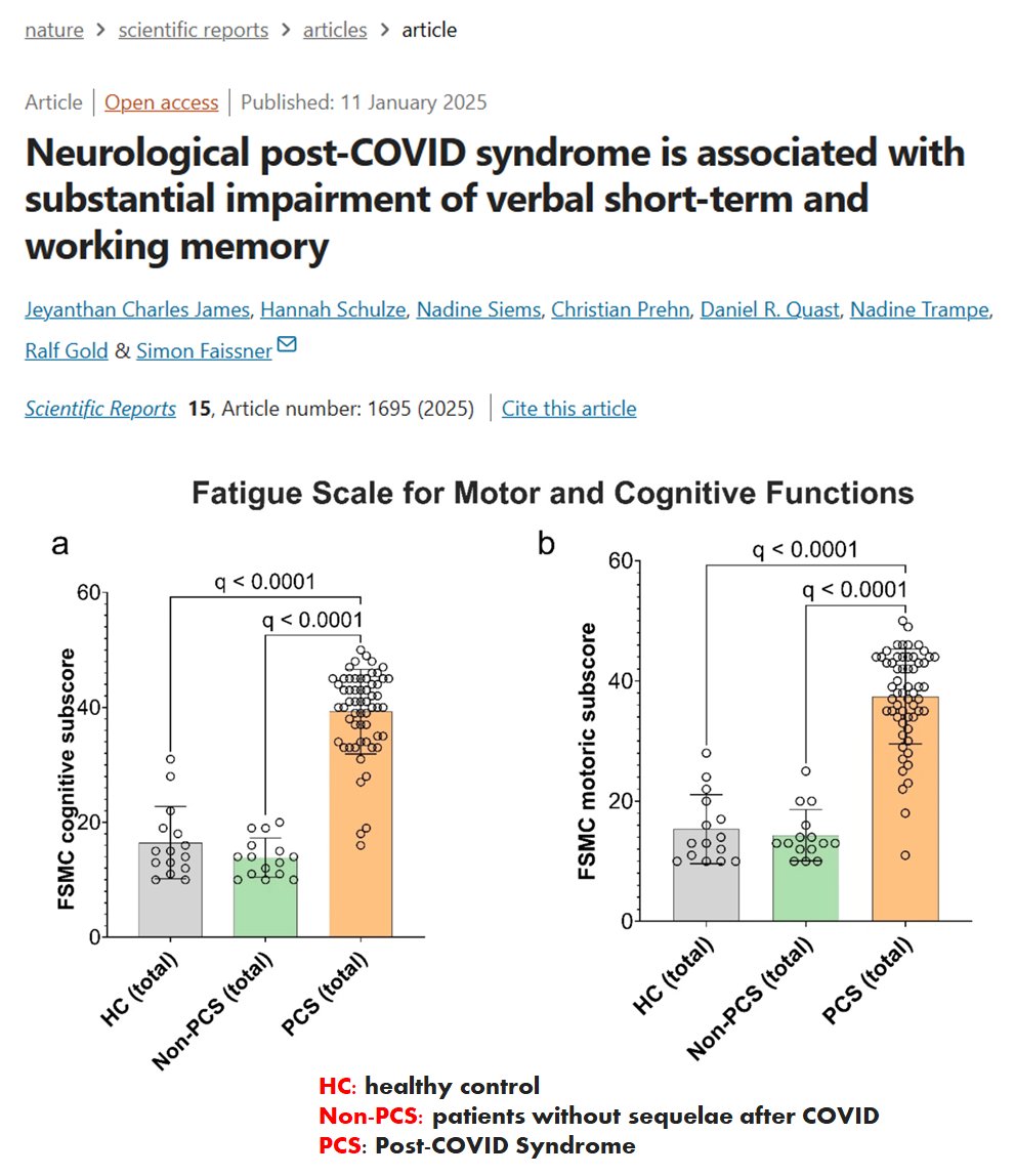 Danielle Beckman tweet media