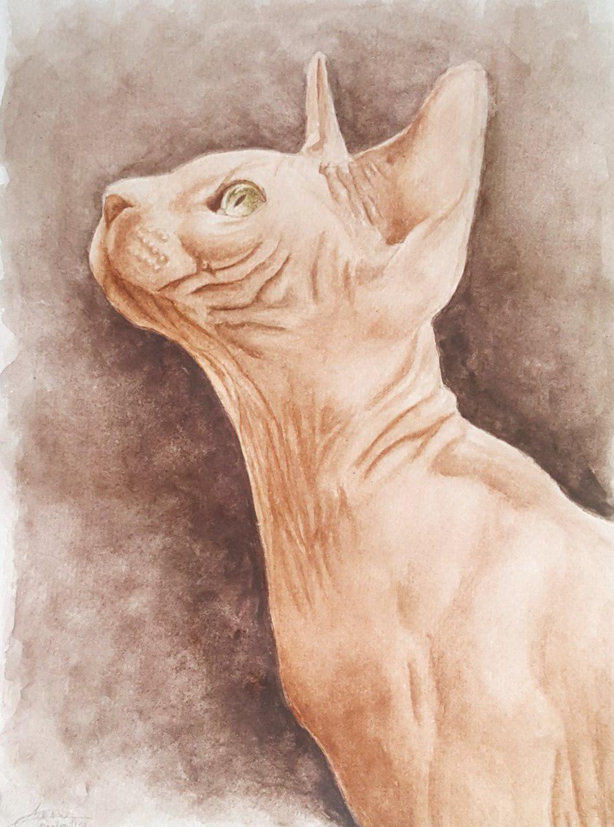adxlinx04's tweet photo. Pet portrait

#artoftheday #petpainting #cat #watercolor #art https://t.co/1t2ecmhwwx