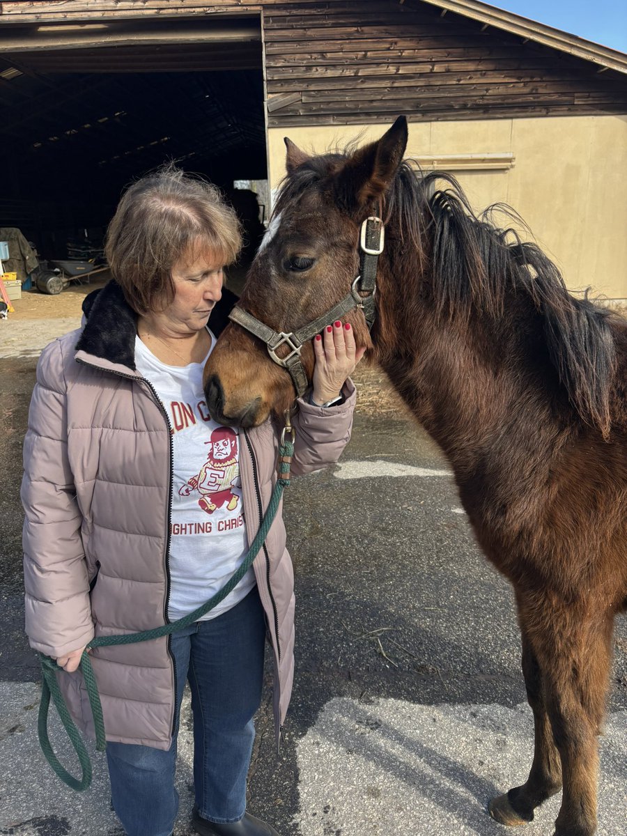 phillips_farm's tweet photo. A gorgeous January day where it all begins at the home farm with both our moms the four legged &amp; two legged kind! Our Irish mare ChecksAndBalances with her Omaha Beach filly giving our mom some love! We are a true family operation with love for our horses!#UNBRIDELEDPASSION🐎 https://t.co/HwyFXZ9Dmk
