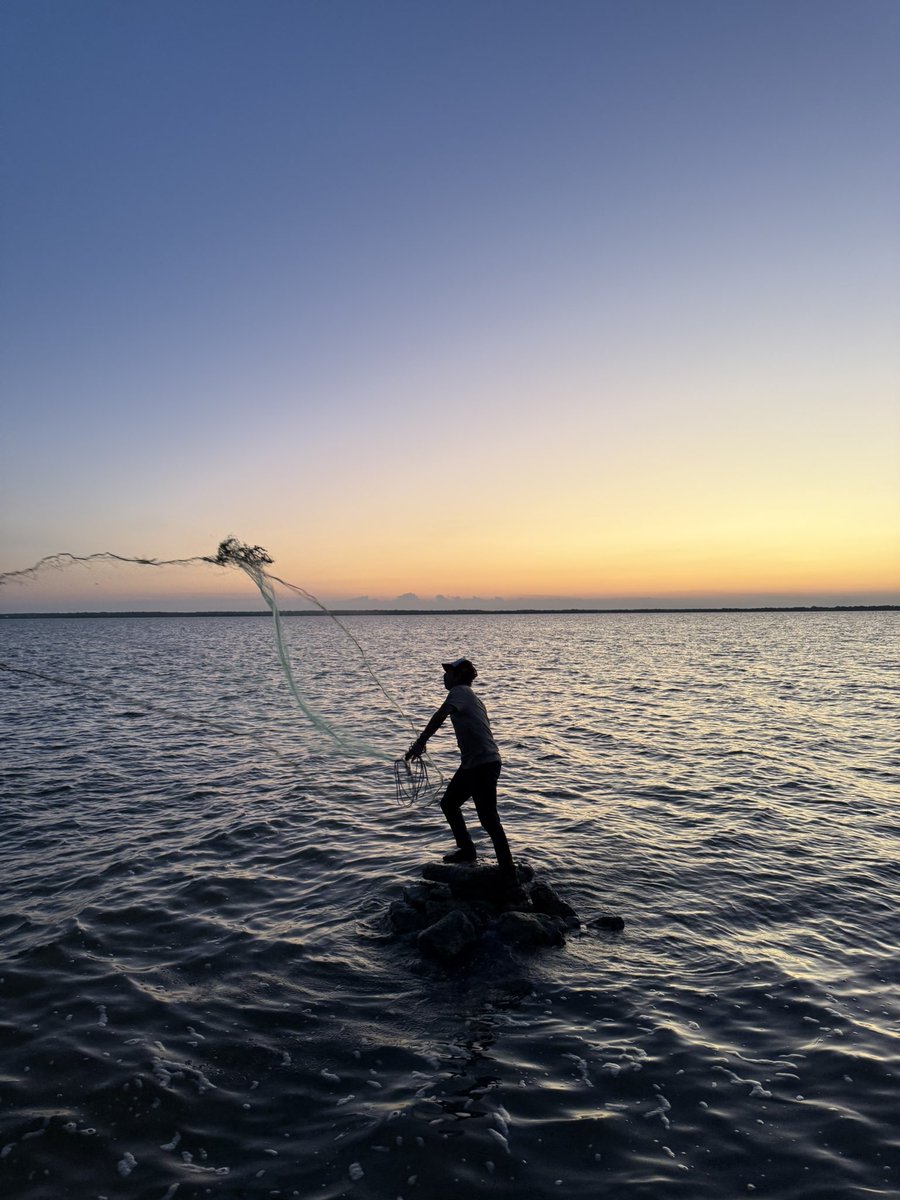 RamonCovadonga's tweet photo. “Atardeceres imperdibles en la ciudad caribeña de Chetumal”
#conocechetumal
#maralezama https://t.co/3MxHTq1iHr