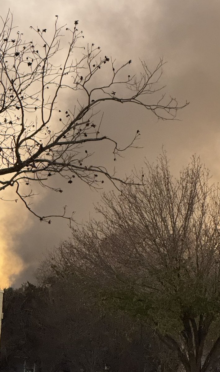 Greg Smith tweet media