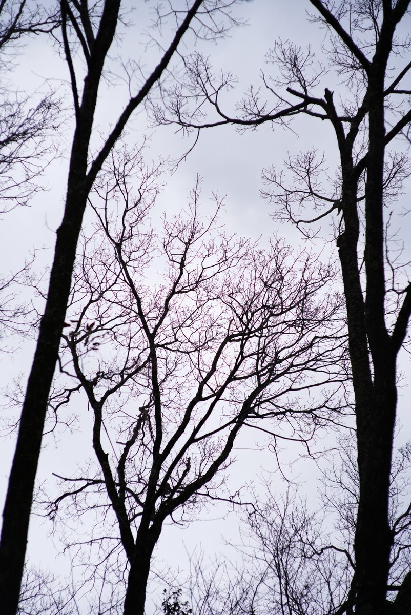 takcam2755's tweet photo. 神域 https://t.co/axHiDP1JTP
