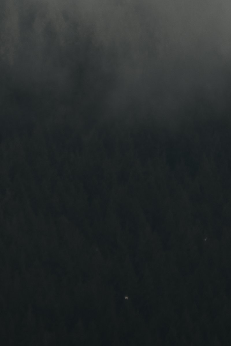 The mind has a hard time conceiving the scale of things. Its actually quite entertaining to observe your mind when you have something to look at.
This tiny white dot is a seagull (and if you've ever seen BC seagulls you know some of these guys are the size of eagles. They're