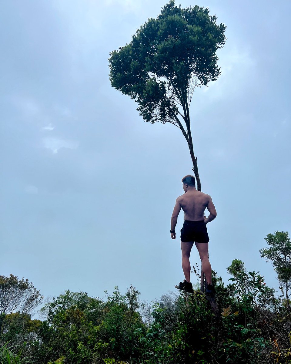 1000Fears's tweet photo. Perhaps I'm not exactly what you're looking for, but I'll do my best to be everything you need. https://t.co/9gpULMvZ5x