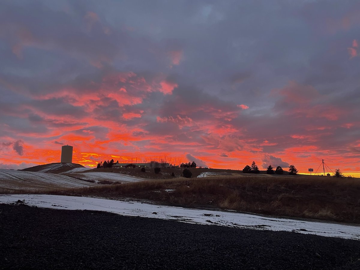 Our niece at WSU in Pullman, WA sent us this sunset tonight.