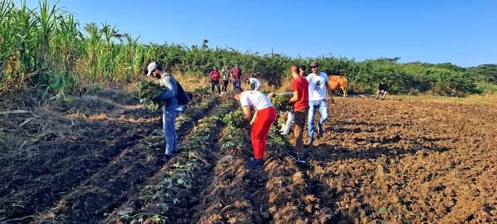 UJC Pinar del Río tweet media
