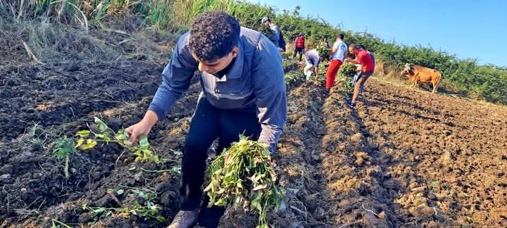 UJC Pinar del Río tweet media