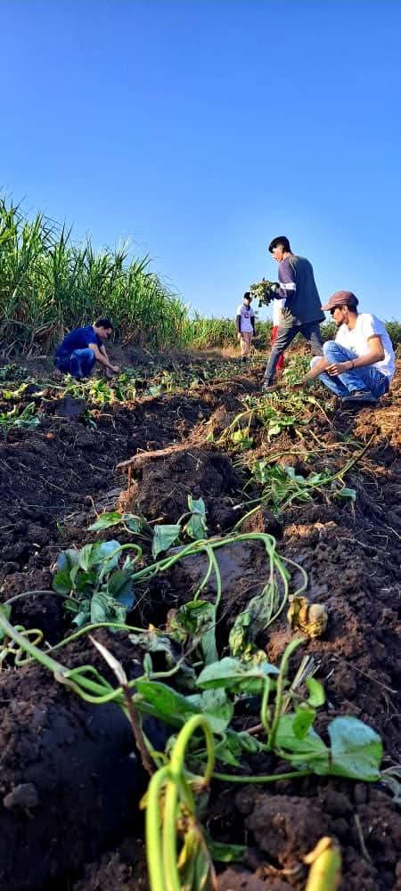 UJC Pinar del Río tweet media