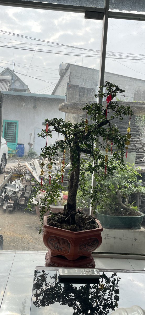 "Càng lớn tuổi, bạn càng tìm kiếm những đôi giày thoải mái hơn. Càng lớn tuổi, bạn càng muốn có sự hiện diện tích cực. 
Càng lớn tuổi, bạn càng ăn uống lành mạnh, tránh rượu bia và đi bộ nhiều hơn. 
Càng lớn tuổi, bạn càng trở nên chọn lọc hơn về con
