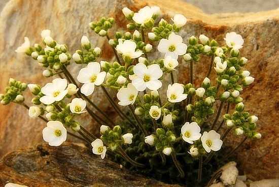 Krásné dobré ráno, klidnou a pohodovou neděli nám všem!