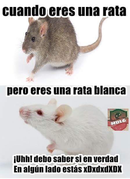 Alejo (@bjs_alejo2) on Twitter photo 
