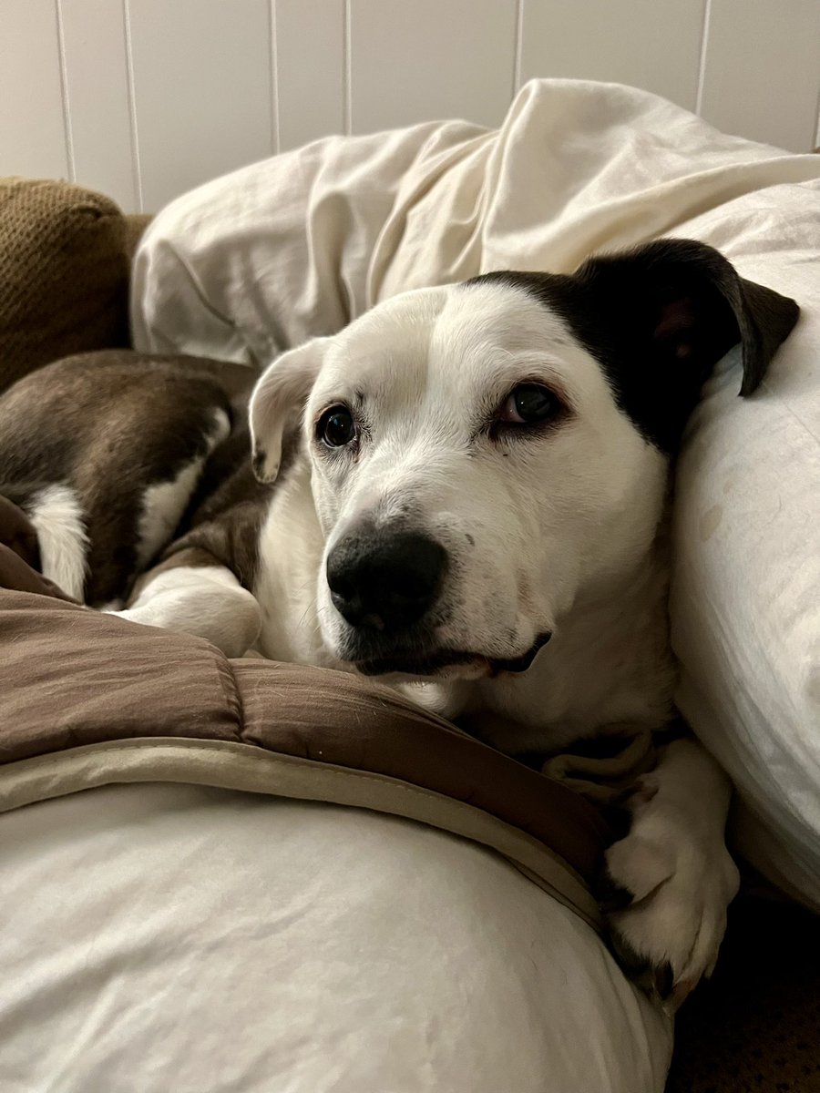 Sometimes you take a pic of your baby girl and she looks every one of her 11 years and then you get SO SAD
