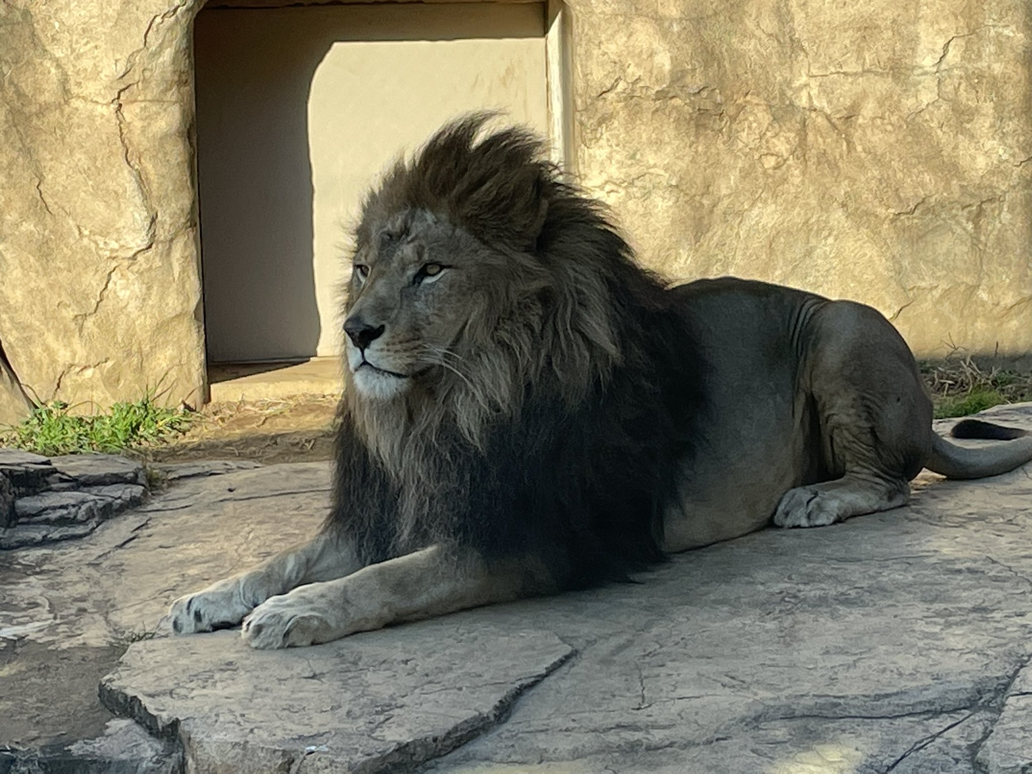 千葉市動物公園【公式】 on X: 